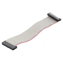 Cablu Panglică IDC 1mm 0,3m | Electronic-mag.ro | Componente Electronice