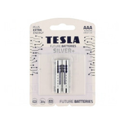 Baterii alcaline AAA 1,5V 2 buc. | Electronic-mag.ro | Componente Electronice
