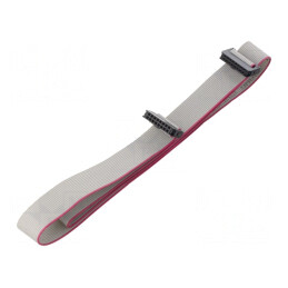 Cablu Panglică IDC 1mm 0,6m | Electronic-mag.ro | Componente Electronice