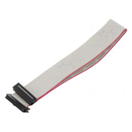 Cablu Panglică IDC 1mm 0,3m | Electronic-mag.ro | Componente Electronice