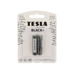 Baterie AAA 1,5V Alcalină Nereîncărcabilă 2 Buc. | Electronic-mag.ro | Componente Electronice