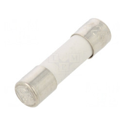 Siguranță Întârziere 100mA 250V 5x20mm | Electronic-mag.ro | Componente Electronice