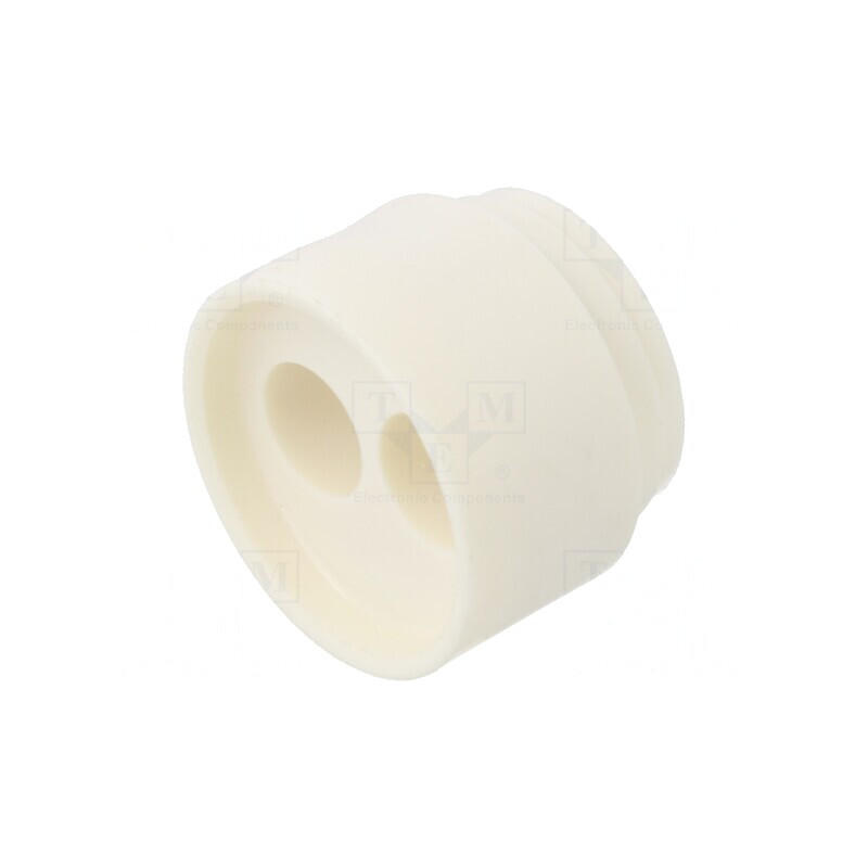 Insert Presetupă 6mm NPT1/2 Elastomer 2 Orificii | Electronic-mag.ro | Componente Electronice