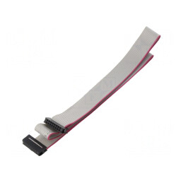 Cablu Panglică IDC 1mm 0,6m | Electronic-mag.ro | Componente Electronice