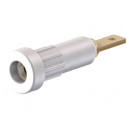 Soclu Banană 2mm Alb 10A pentru Panou | Electronic-mag.ro | Componente Electronice