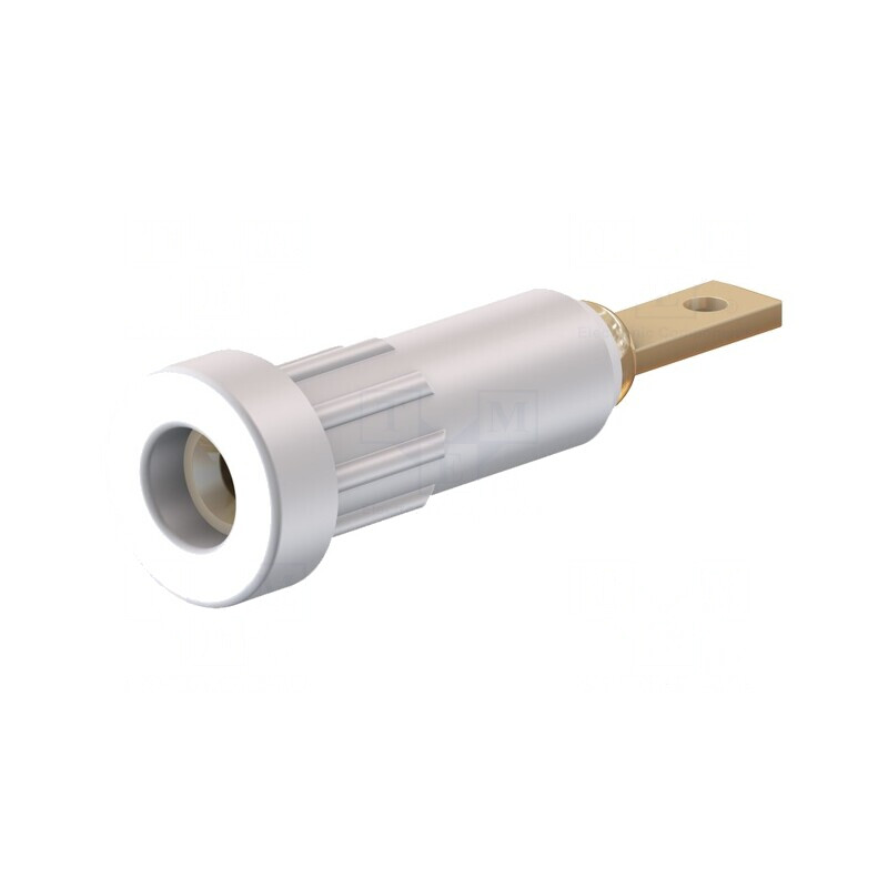 Soclu Banană 2mm Alb 10A pentru Panou | Electronic-mag.ro | Componente Electronice Soclu Banană 2mm Alb 10A pentru Panou | Electronic-mag.ro | Componente Electronice
