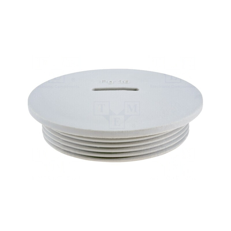 Capac de protecție IP54 poliamidă gri PG36 | Electronic-mag.ro | Componente Electronice