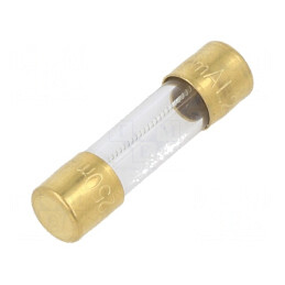 Siguranță Cupru SMD 250mA 250VAC 5x20mm | Electronic-mag.ro | Componente Electronice