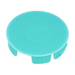 Capac Poliamidă Verde Celadon Apăsare | Electronic-mag.ro | Componente Electronice