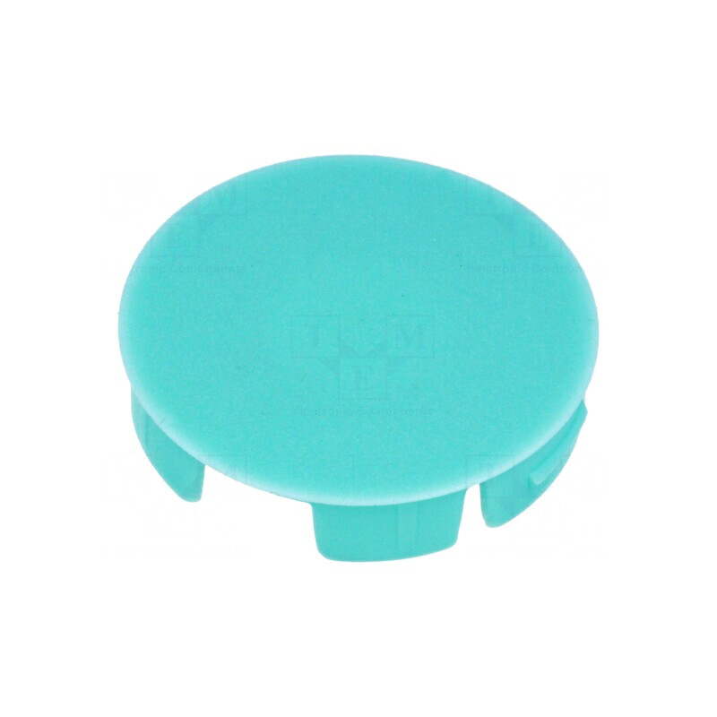 Capac Poliamidă Verde Celadon Apăsare | Electronic-mag.ro | Componente Electronice Capac Poliamidă Verde Celadon Apăsare | Electronic-mag.ro | Componente Electronice