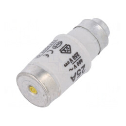 Siguranță Industrială 25A 400VAC 250V D02 | Electronic-mag.ro | Componente Electronice