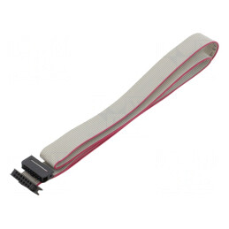Cablu Panglică IDC 1mm 0,6m | Electronic-mag.ro | Componente Electronice