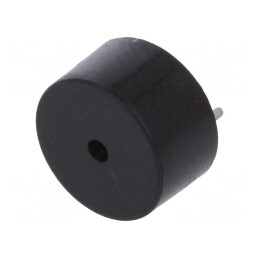 Traductor de Sunet Electromagnetic 25mA | Electronic-mag.ro | Componente Electronice