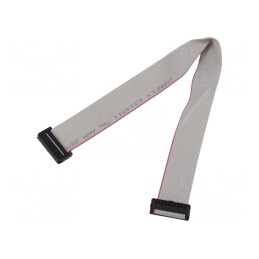 Cablu Panglică cu Conectori IDC 0.3m 1mm | Electronic-mag.ro | Componente Electronice