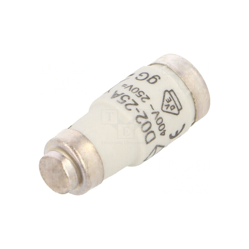 Siguranță gG Întârziere 25A 400VAC 250VDC D02 | Electronic-mag.ro | Componente Electronice
