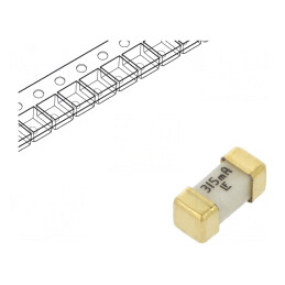 Siguranță Ultra-Rapidă 315mA SMD 125V | Electronic-mag.ro | Componente Electronice
