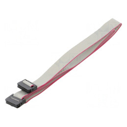 Cablu Panglică cu Conectori IDC 1mm 0.6m | Electronic-mag.ro | Componente Electronice