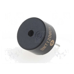 Traductor de Sunet Electromagnetic THT 30mA | Electronic-mag.ro | Componente Electronice