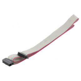 Cablu Panglică IDC 1mm 0.6m | Electronic-mag.ro | Componente Electronice