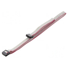 Cablu Panglică IDC 1mm 0.6m | Electronic-mag.ro | Componente Electronice