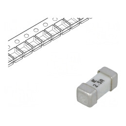 Siguranță Ultra-Rapidă 2.5A 125V SMD | Electronic-mag.ro | Componente Electronice
