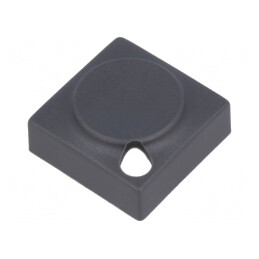 Tastă dreptunghiulară gri 15,5x15,5mm poliamidă | Electronic-mag.ro | Componente Electronice