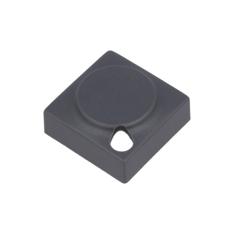 Tastă dreptunghiulară gri 15,5x15,5mm poliamidă | Electronic-mag.ro | Componente Electronice Tastă dreptunghiulară gri 15,5x15,5mm poliamidă | Electronic-mag.ro | Componente Electronice