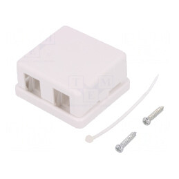 Soclu Keystone Alb 2 Porturi Murală | Electronic-mag.ro | Componente Electronice
