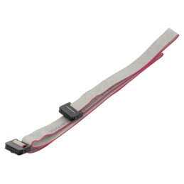 Cablu Panglică IDC 1mm 0,6m | Electronic-mag.ro | Componente Electronice