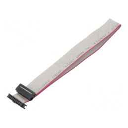 Cablu Panglică IDC 1mm 0,3m | Electronic-mag.ro | Componente Electronice