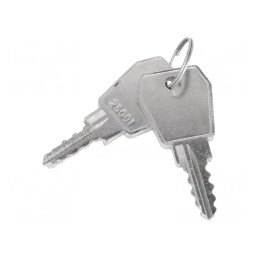 Cheie Cod 25001 pentru Z-2106 | Electronic-mag.ro | Componente Electronice
