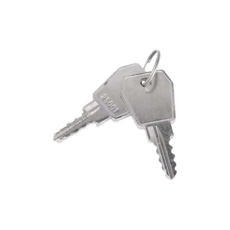 Cheie Cod 25001 pentru Z-2106 | Electronic-mag.ro | Componente Electronice Cheie Cod 25001 pentru Z-2106 | Electronic-mag.ro | Componente Electronice