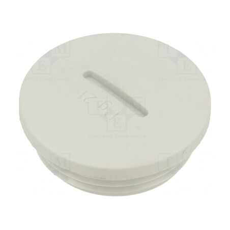Capac de Protecție Poliamidă PG21 | Electronic-mag.ro | Componente Electronice