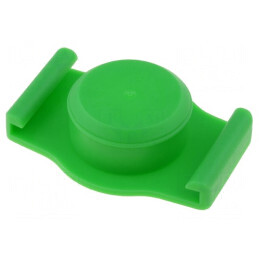 Buşon Seringă Verde 30/55ml Fără Silicon | Electronic-mag.ro | Componente Electronice