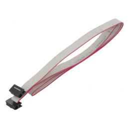 Cablu Panglică IDC 1mm 0,6m | Electronic-mag.ro | Componente Electronice