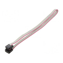 Cablu Panglică IDC 1mm 0,3m | Electronic-mag.ro | Componente Electronice