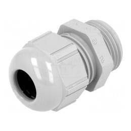 Garnitură Etanșare PG11 IP68 Poliamidă Gri | Electronic-mag.ro | Componente Electronice