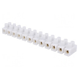 Regletă de Conexiuni cu Șurub 6mm² 400V Albă | Electronic-mag.ro | Componente Electronice