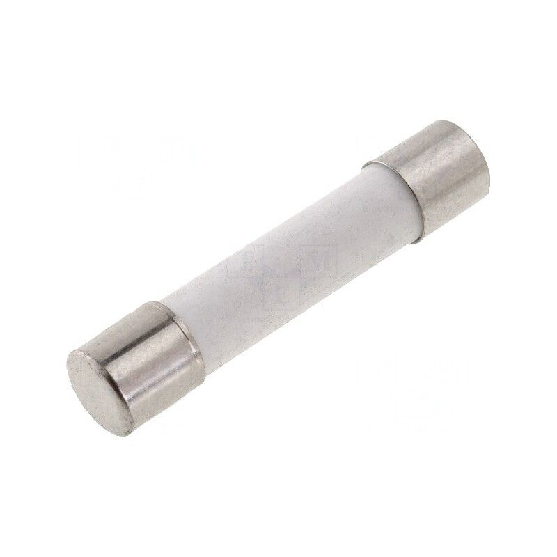 Siguranță întârziere 30A 250VAC 6.3x32mm vrac | Electronic-mag.ro | Componente Electronice