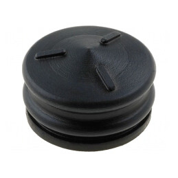 Seringă FIS-SYR6 6ml | Electronic-mag.ro | Componente Electronice