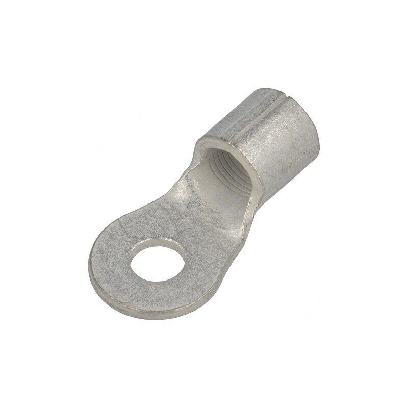 Vârf Inelar M6 21mm2 Crimpat Neizolat Cositorit | Electronic-mag.ro | Componente Electronice