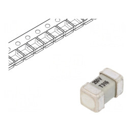 Siguranţă: siguranţă; întârziere; 315mA; 250V; SMD; ceramică; alamă