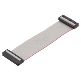 Cablu panglică 1,27mm 0,3m cu conectori IDC | Electronic-mag.ro | Componente Electronice