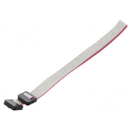 Cablu Panglică IDC 1mm 0,3m | Electronic-mag.ro | Componente Electronice