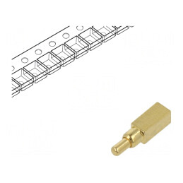 Conector Pogo Pin | Electronic-mag.ro | Componente Electronice
