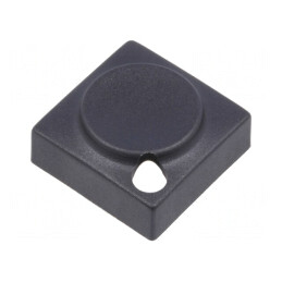 Tastă Neagră Dreptunghiulară Poliamidă 15,5x15,5mm