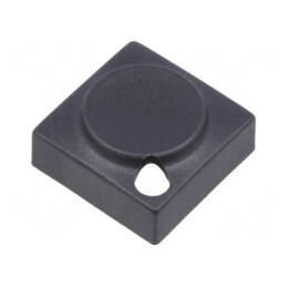 Tastă Neagră Dreptunghiulară Poliamidă 15,5x15,5mm | Electronic-mag.ro | Componente Electronice