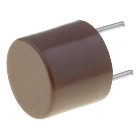 Siguranță întârziere 2A 250V TR5 cupru | Electronic-mag.ro | Componente Electronice