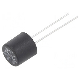 Siguranță Întârziere 4A 250V PCB TR5 Cupru | Electronic-mag.ro | Componente Electronice