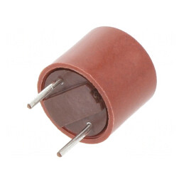 Siguranță Întârziere 1A 250VAC THT Cupru TR5 | Electronic-mag.ro | Componente Electronice
